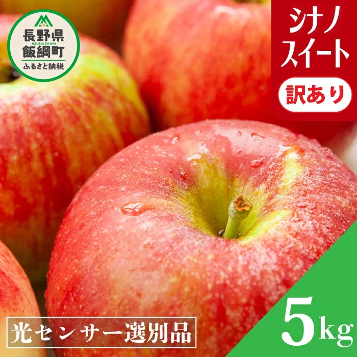 りんご 【 10月1日 値上げ 】 果物 訳あり 5Kg 交換保証 シナノスイート