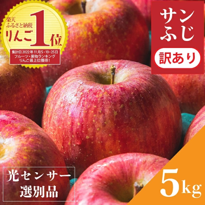 訳あり りんご 【 10月1日 値上げ 】 果物 サンふじ 5kg 