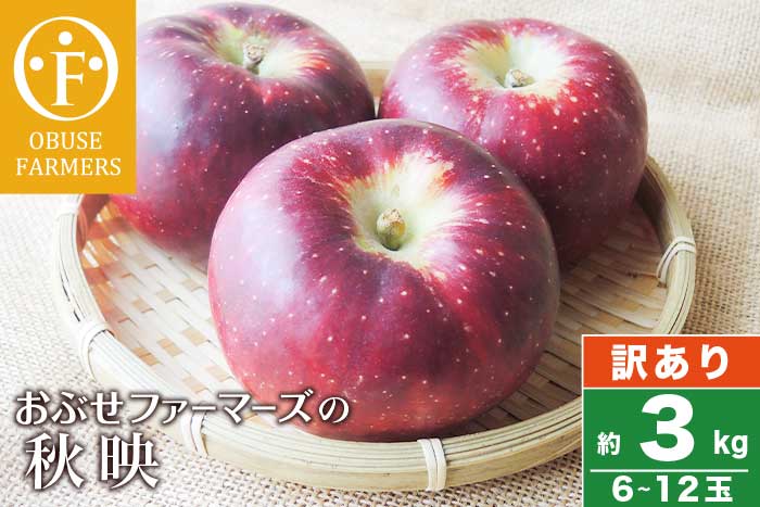 青森県産 高級りんご「はるか」8～12玉
