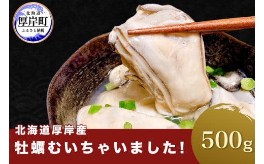 北海道厚岸産 牡蠣むいちゃいました！生食用500g