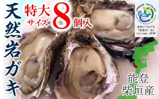 能登柴垣産 特大サイズ天然岩牡蠣（生食可）殻付8個入