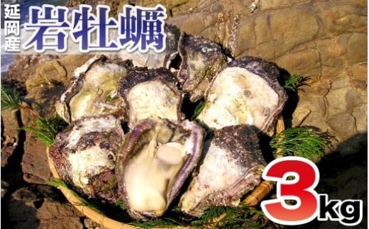 延岡産天然岩牡蠣（生食用）3kg