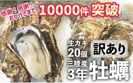 三陸広田湾 殻付き生牡蠣20個（約3kg）生食可