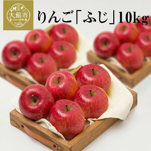 りんご「ふじ」10kg イメージ