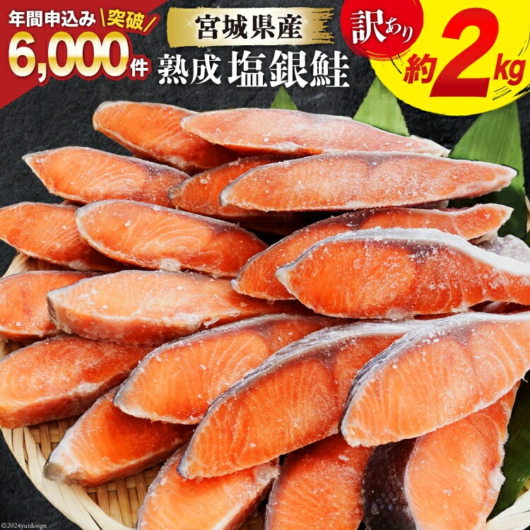 訳あり 宮城県産 熟成銀鮭切身 約2kg