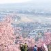 神奈川県松田町のふるさと納税のご紹介
