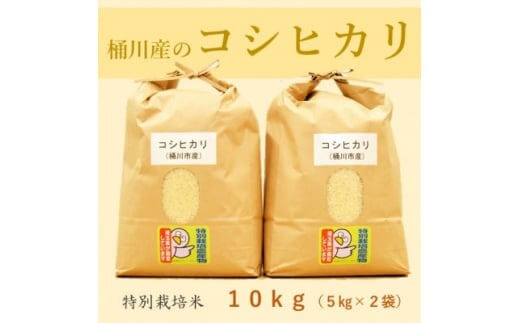 小島農園の特別栽培米　桶川産コシヒカリ　5kg×2袋