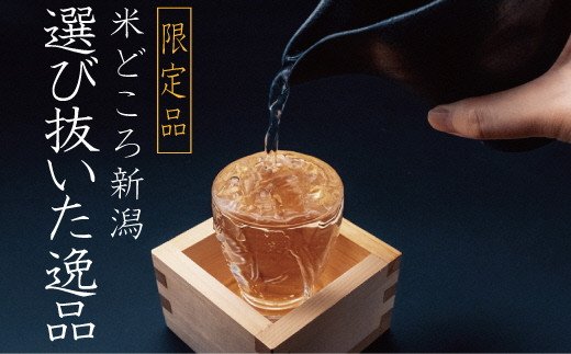 特選日本酒頒布会【お試しセット】720ML×２本 イメージ