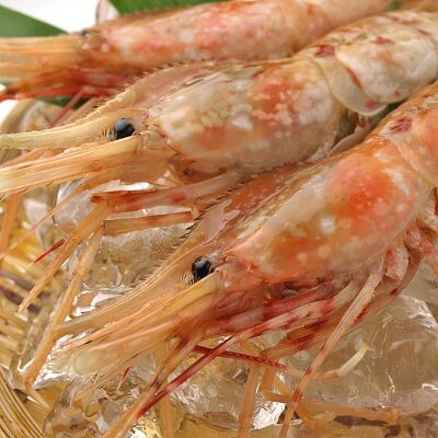 刺身用ボタンエビ 1.5kg 寄附金額10,000 円 イメージ 刺身用ボタンエビ 1.5kg 寄附金額10,000 円 イメージ