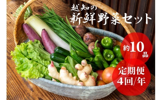 越知産市の季節の野菜セット(年4回発送)