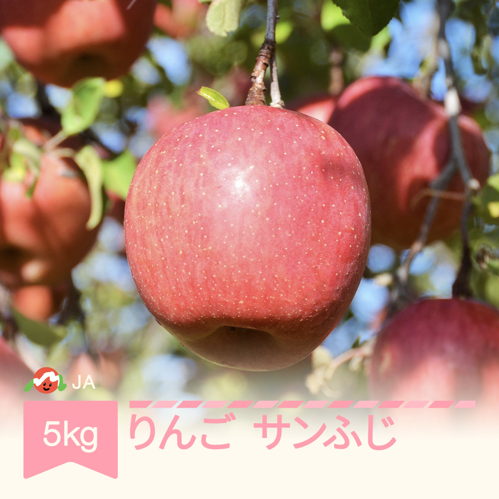 りんご サンふじ 5kg 2021年産