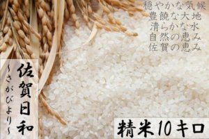 【H30年収穫米】佐賀県産『さがびより（精米10kg）』寄附金額17,000円