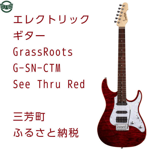 エレクトリックギター G-SN-CTM See Thru Red イメージ