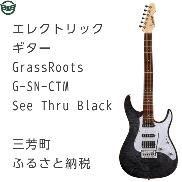 エレクトリックギター G-SN-CTM See Thru Black イメージ