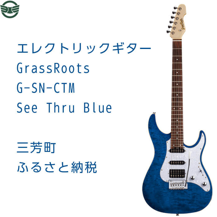 エレクトリックギター G-SN-CTM See Thru Blue イメージ