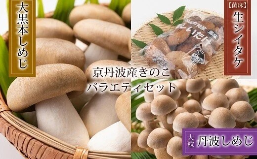 菌床で栽培した京丹波町産きのこバラエティセット