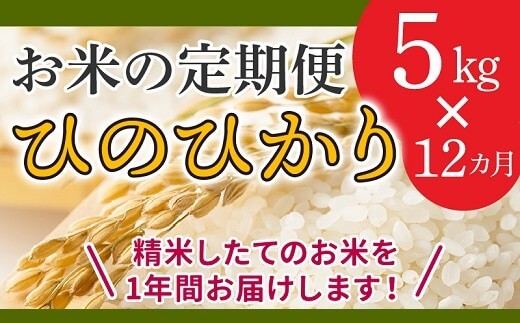 鹿児島県産米ひのひかり5kg×12ヶ月連続 定期便