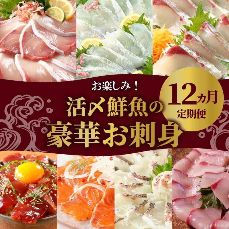 延岡産活〆鮮魚の豪華お刺身（12ヶ月定期便）