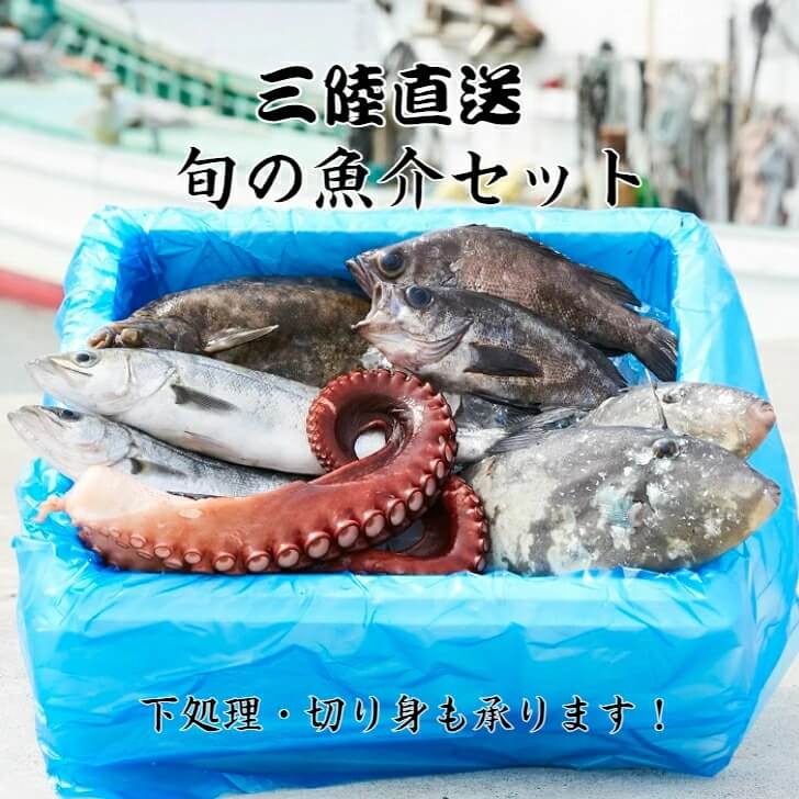 海産物 魚介類 鮮魚詰め合わせ セット≪特選≫ イメージ