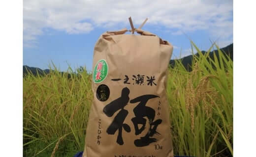 奉納米　コシヒカリ　極　10kg　玄米 イメージ