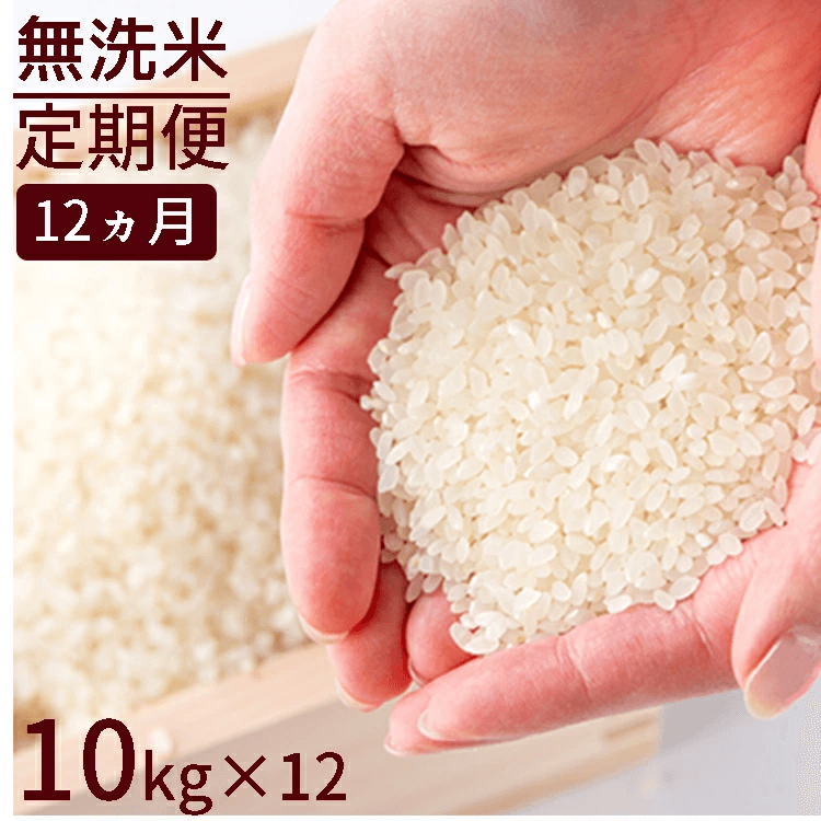 福岡県産米 無洗米 1等級ひのひかり 10kg×12ヶ月連続 定期便