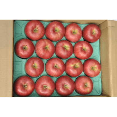 長野市産信州りんご シナノスイート 秀10～20玉 約5kg箱