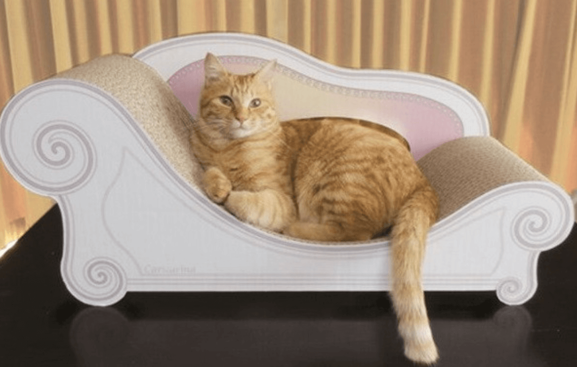 猫のおしゃれ爪とぎソファー「カリカリーナ Basic」グランデサイズ　全5色