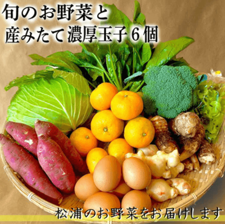 道の駅松浦海のふるさと館 長崎 旬のお野菜+産みたて濃厚玉子6個の大満足セット