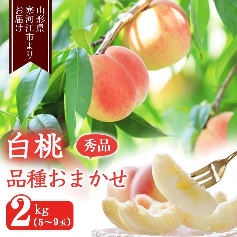 山形の白桃 2kg 品種おまかせ (5～9玉) 秀品