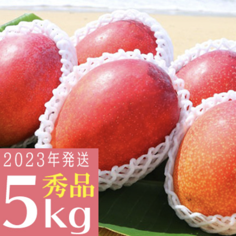 大ボリューム完熟アップルマンゴー　秀品・約5kg【2023年発送】農園から直送！ イメージ