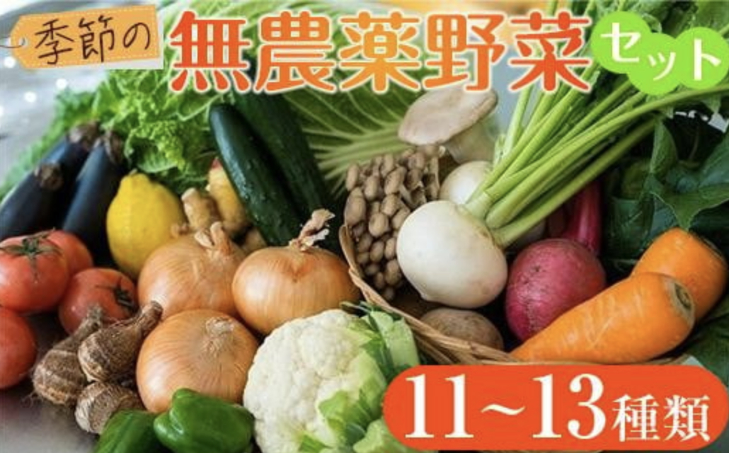 季節の無農薬野菜セット 11～13種類