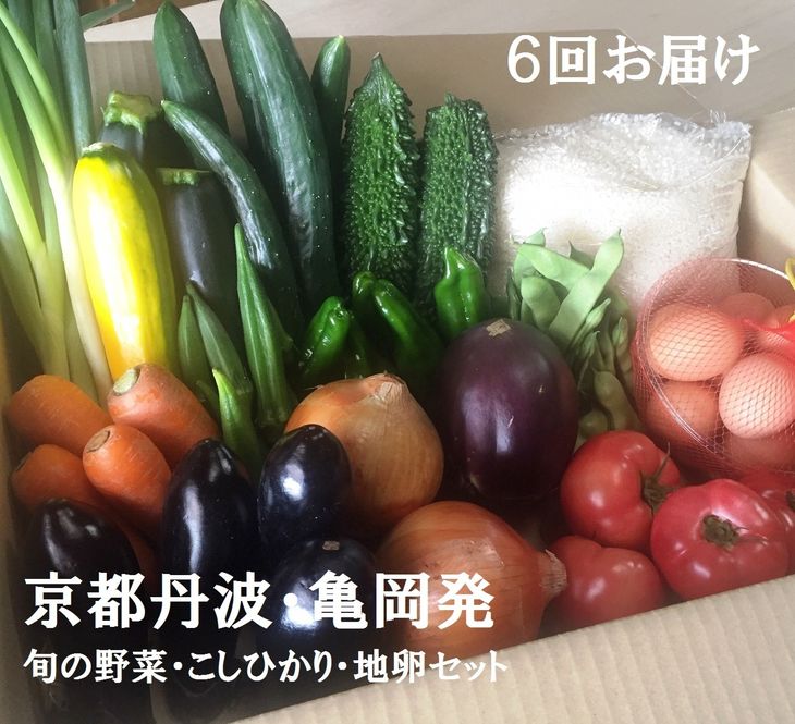 【6回定期便】京都丹波・亀岡発 旬の野菜・こしひかり・地卵 詰め合わせセット