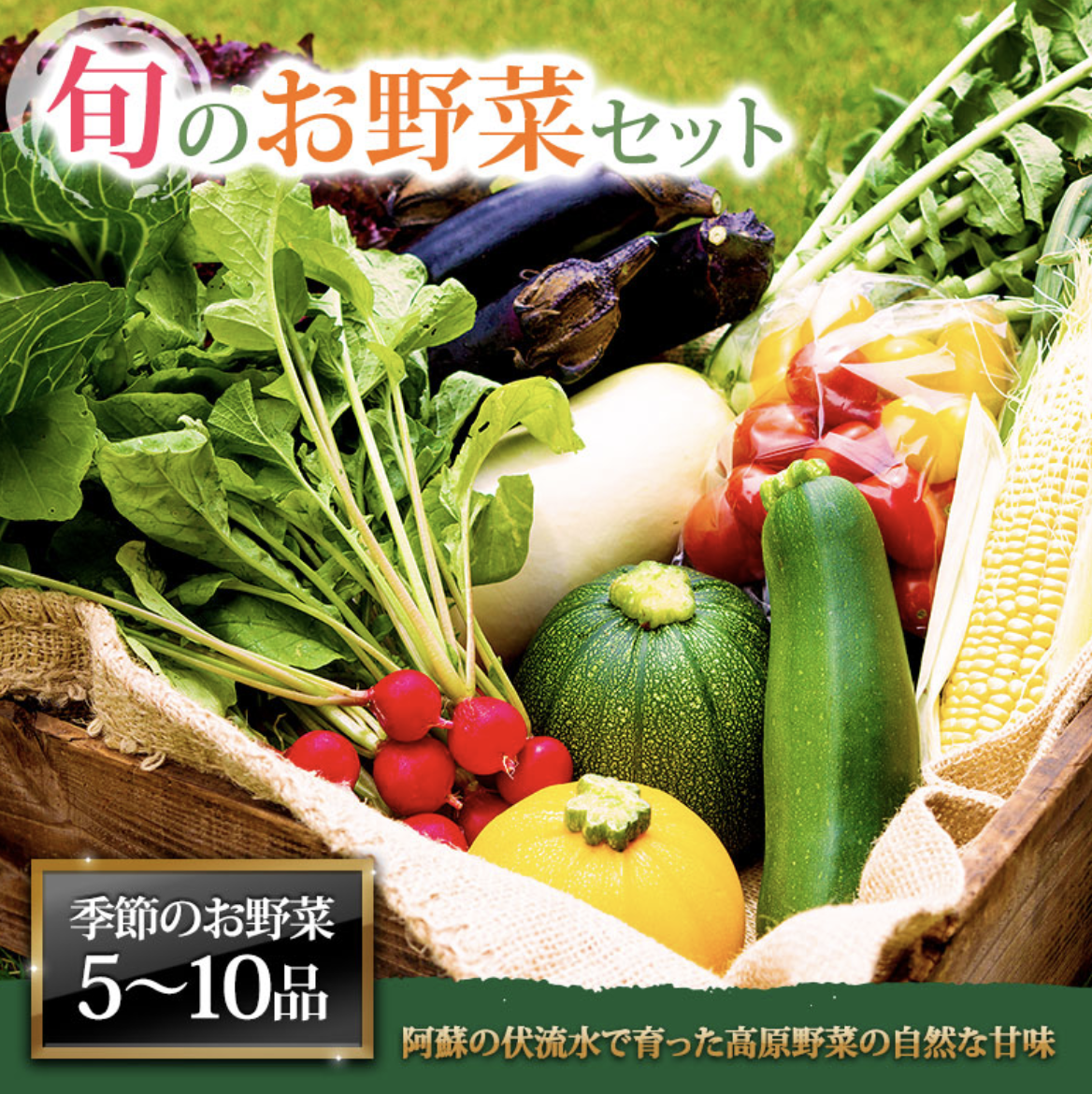 阿蘇の高原 季節の減農薬野菜セット Mサイズ