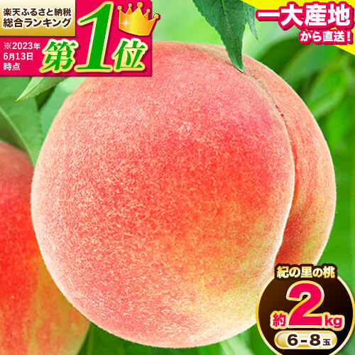 和歌山県産 紀の里の桃 約2kg(6～8玉)