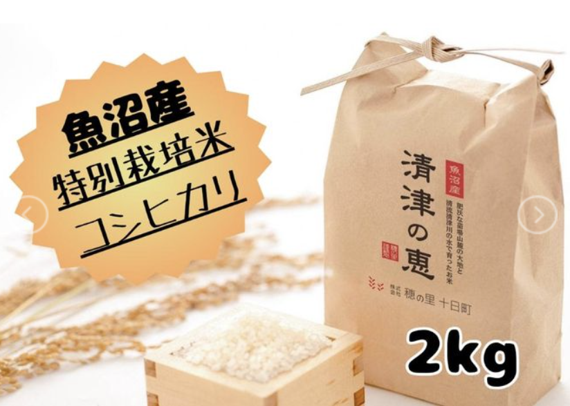 令和5年産 魚沼産特別栽培米コシヒカリ 精米2kg