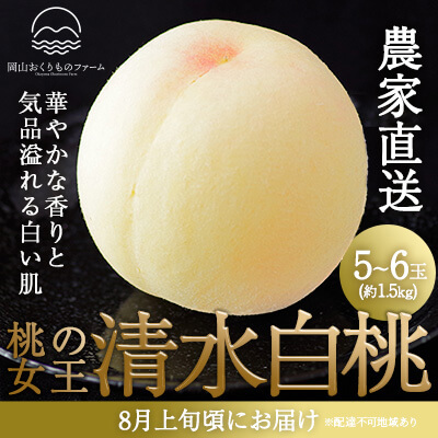岡山県産 桃 清水白桃 5～6玉入り(約1.5kg)