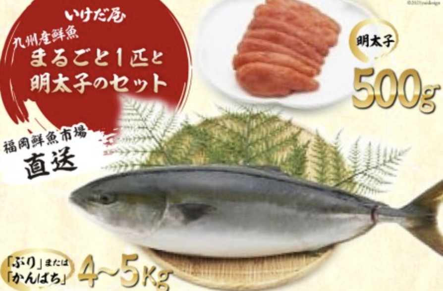 九州産鮮魚まるごと１匹と明太子のセット
