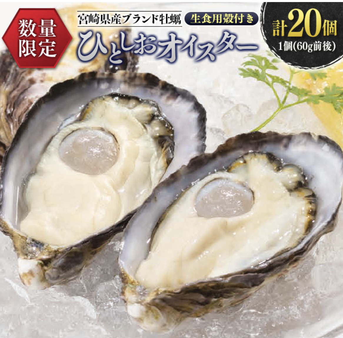 宮崎県産ブランド牡蠣 ひとしおオイスター 計20個 生食用殻付き