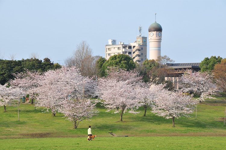福岡県春日市のふるさと納税のご紹介