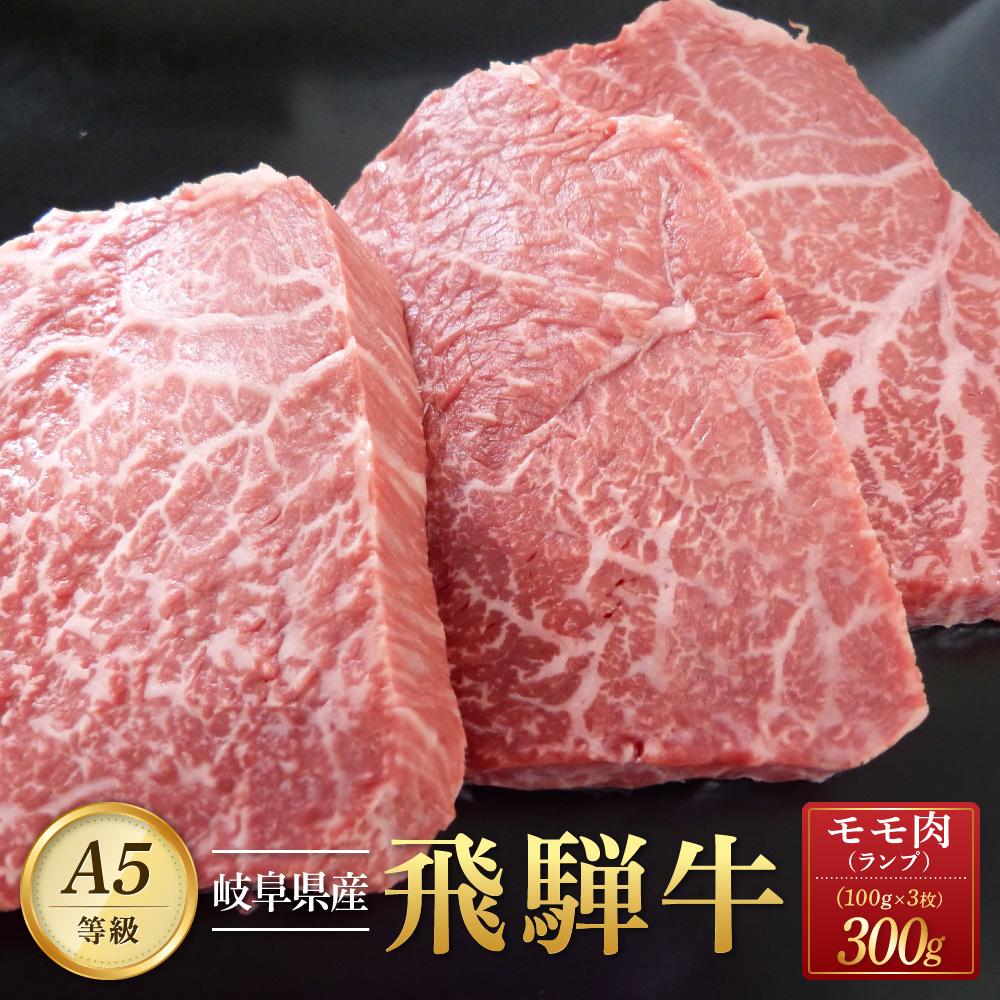 飛騨牛 ランプ ステーキ肉 300g A5等級