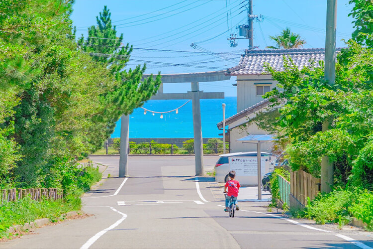 和歌山県美浜町のふるさと納税のご紹介