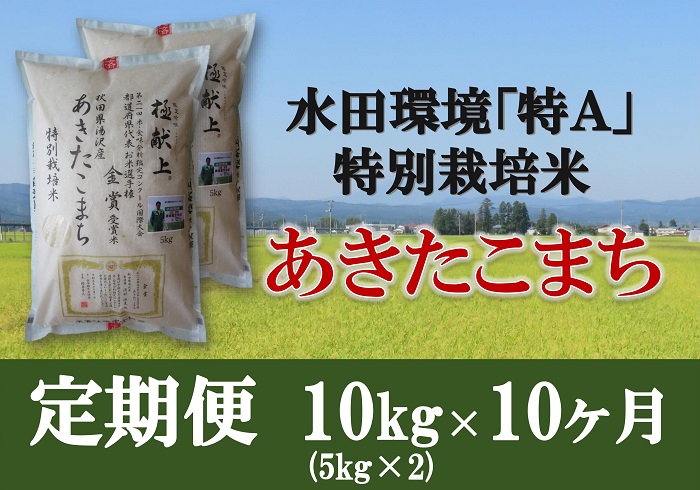令和5年産米 特別栽培米あきたこまち 精米 5kg×2 定期便10ヶ月