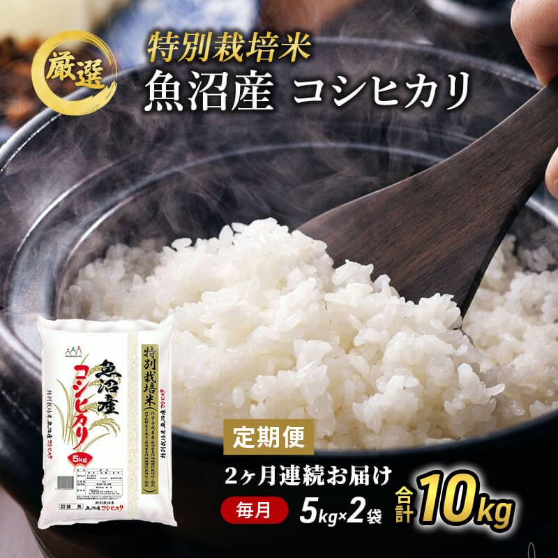 魚沼産コシヒカリ 特別栽培米 定期便 5kg×2回