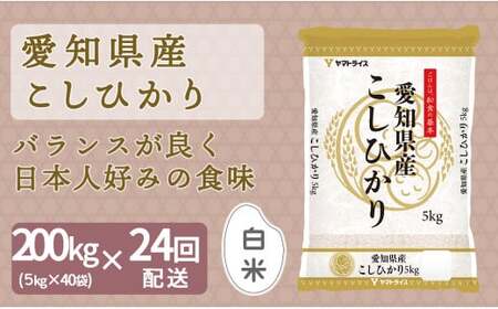 【お米 第1位】24回定期便 愛知県産コシヒカリ 200kg（5kg×40袋）