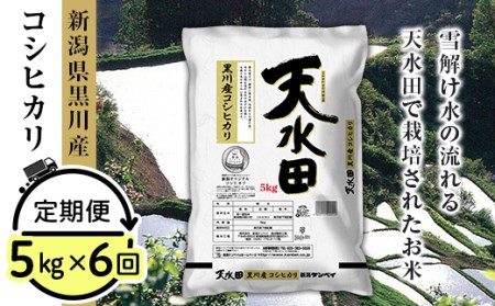 【3位】新潟県黒川産コシヒカリ 天水田 5kg 6ヶ月定期便