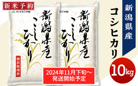 【2位】令和6年産新米 新潟県長岡産特別栽培米コシヒカリ 10kg