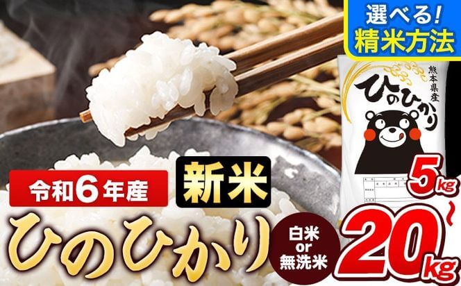 【1位】令和6年産 新米 ひのひかり 白米 or 無洗米