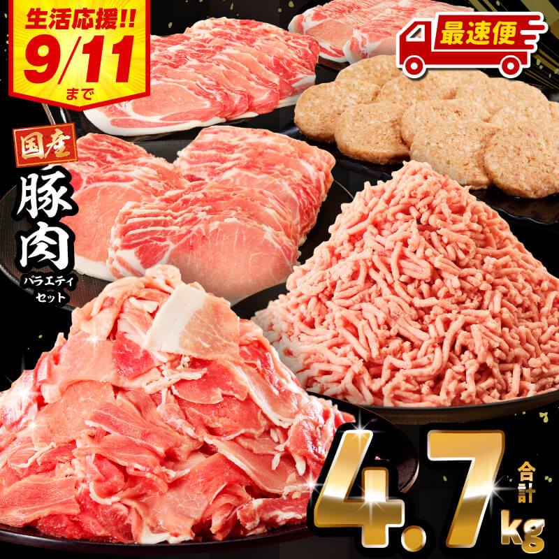 【3位】豚肉 バラエティセット 4.7kg