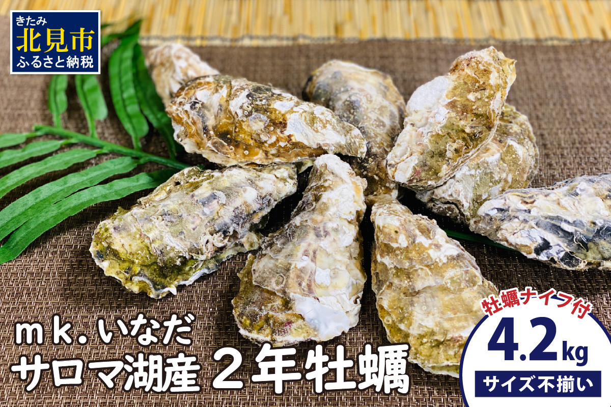 サロマ湖産 殻付き2年牡蠣 4.2kg