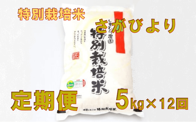 さがびより 特別栽培米 定期便 12回